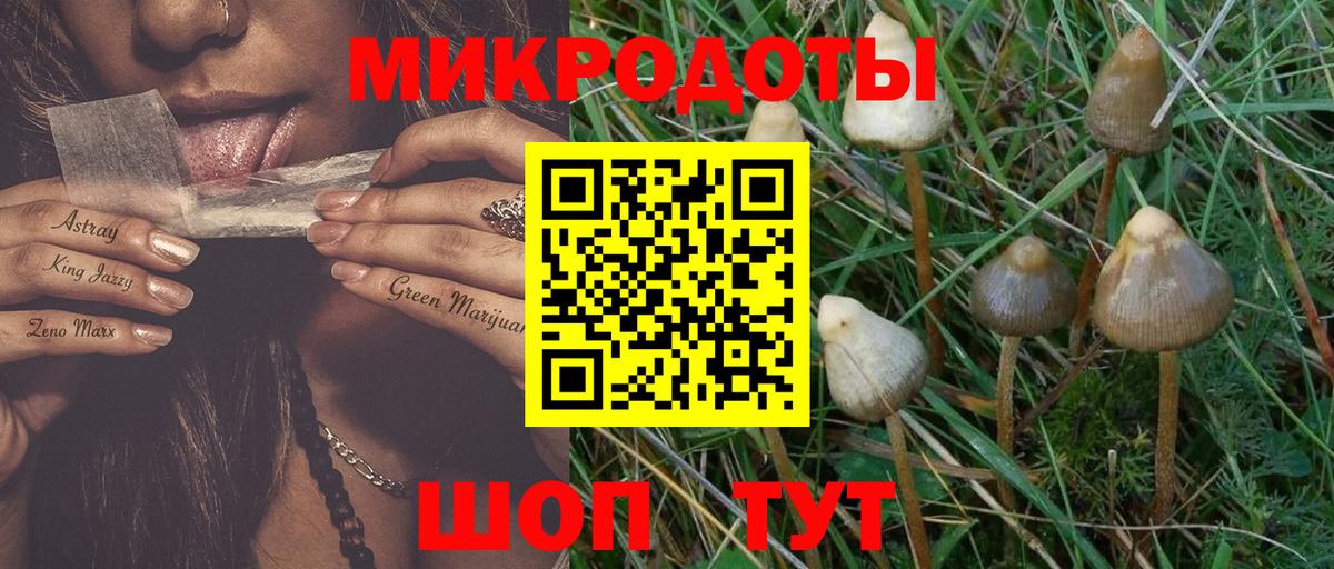 Печора  Галлюциногенные грибы мицелий  Вход с VPN 